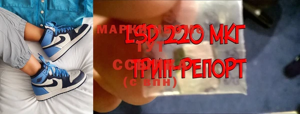 гашик Инсар