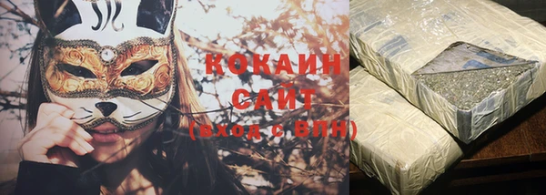 гашик Инсар