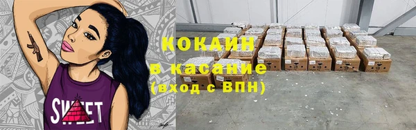 гашик Инсар