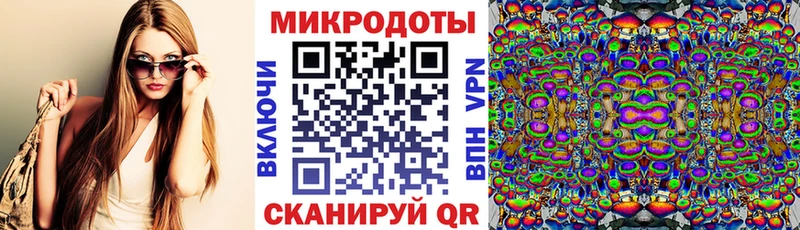 Купить  Отрадный  Галлюциногенные грибы Psilocybe 